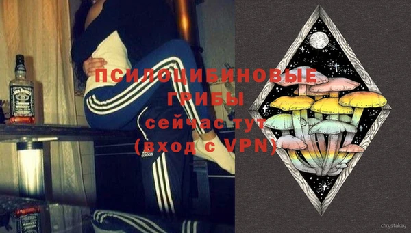 дурь Балахна