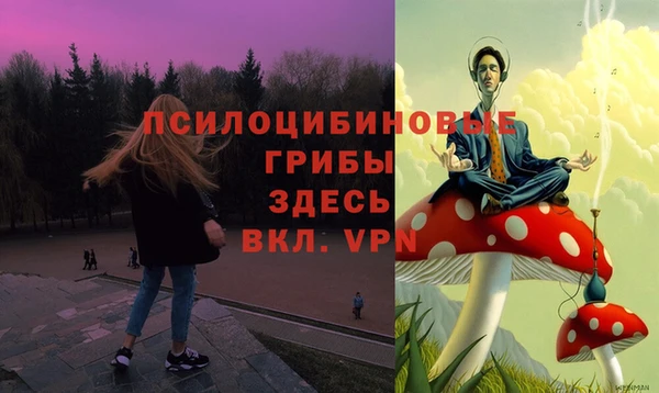 дурь Балахна